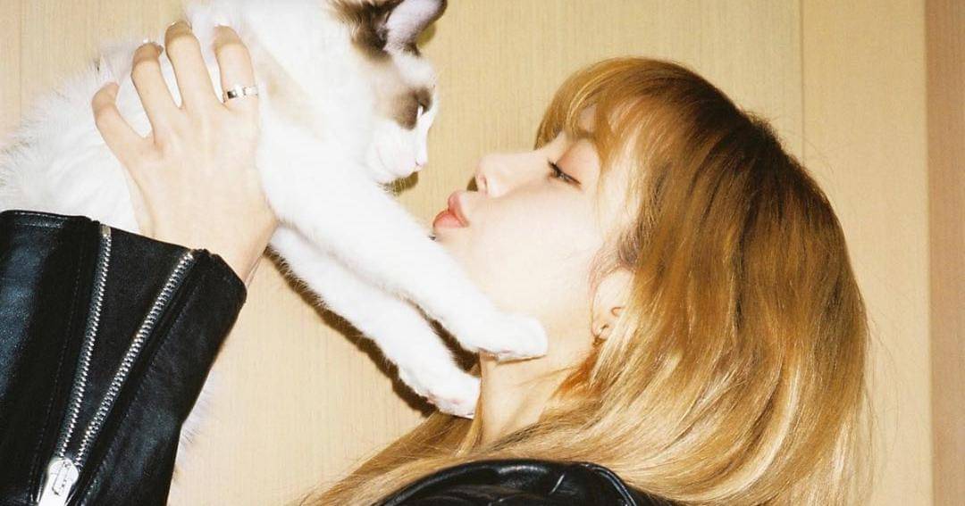 Instagram.com/lalalalisa_m